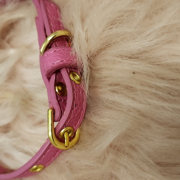 Brand New Cat/Dog Collar W/Colorful Rhinestones & Gold Chain Accent-S - Picture 4 of 4